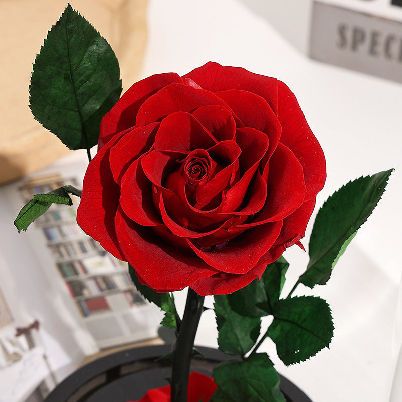 Eternal Rose Gift Box for Girlfriend