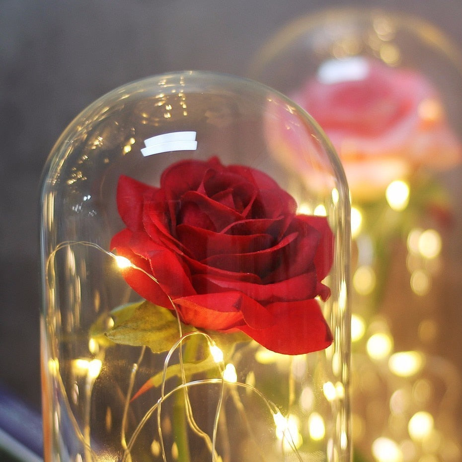 Beauty And The Beast Rose in Flask - LED Light